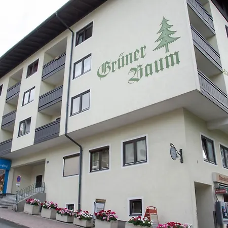 Apartment 12 Gruener Baum Alpendorf Sankt Johann im Pongau Exterior photo