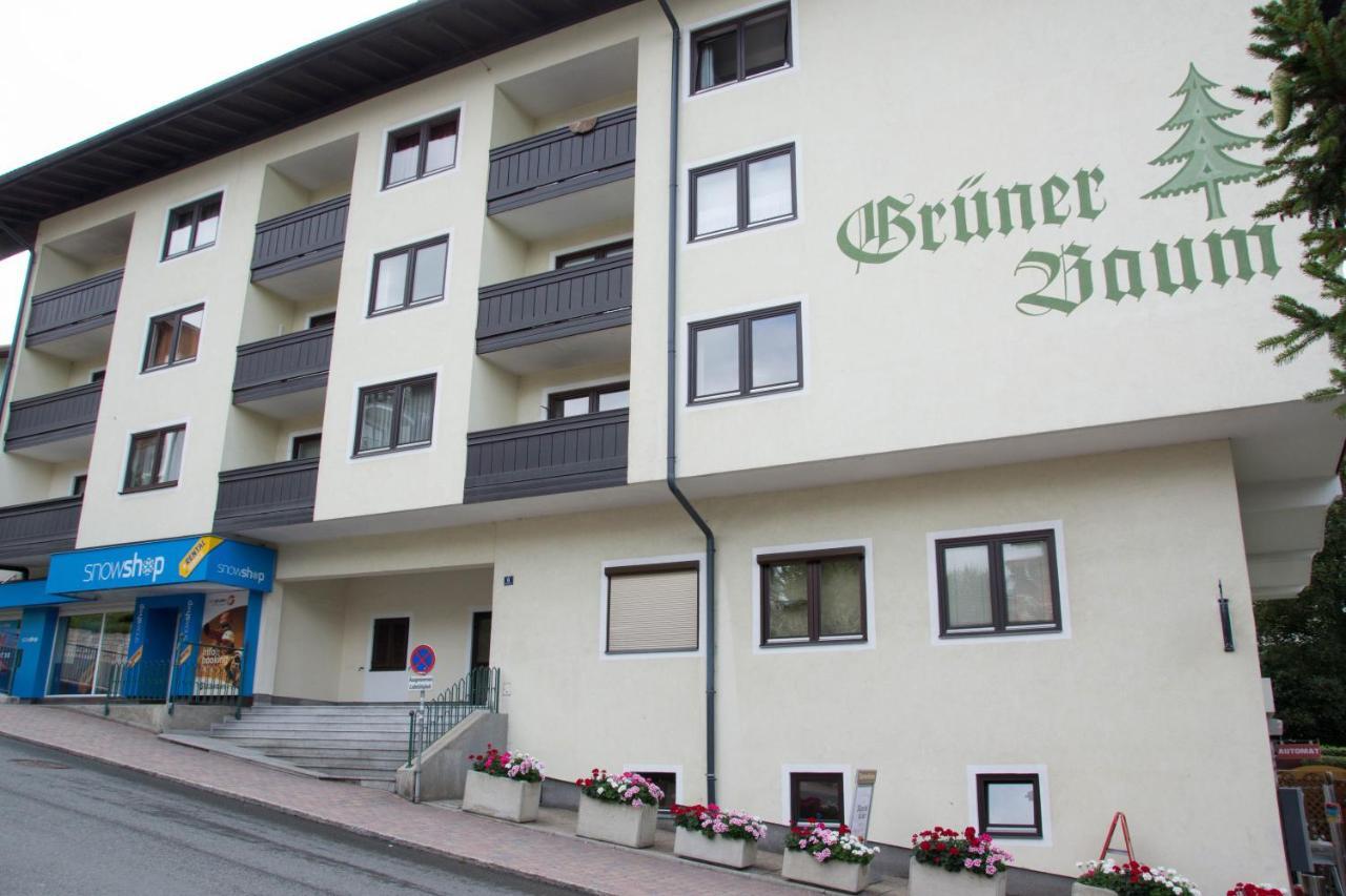 12 Gruener Baum Alpendorf Sankt Johann im Pongau