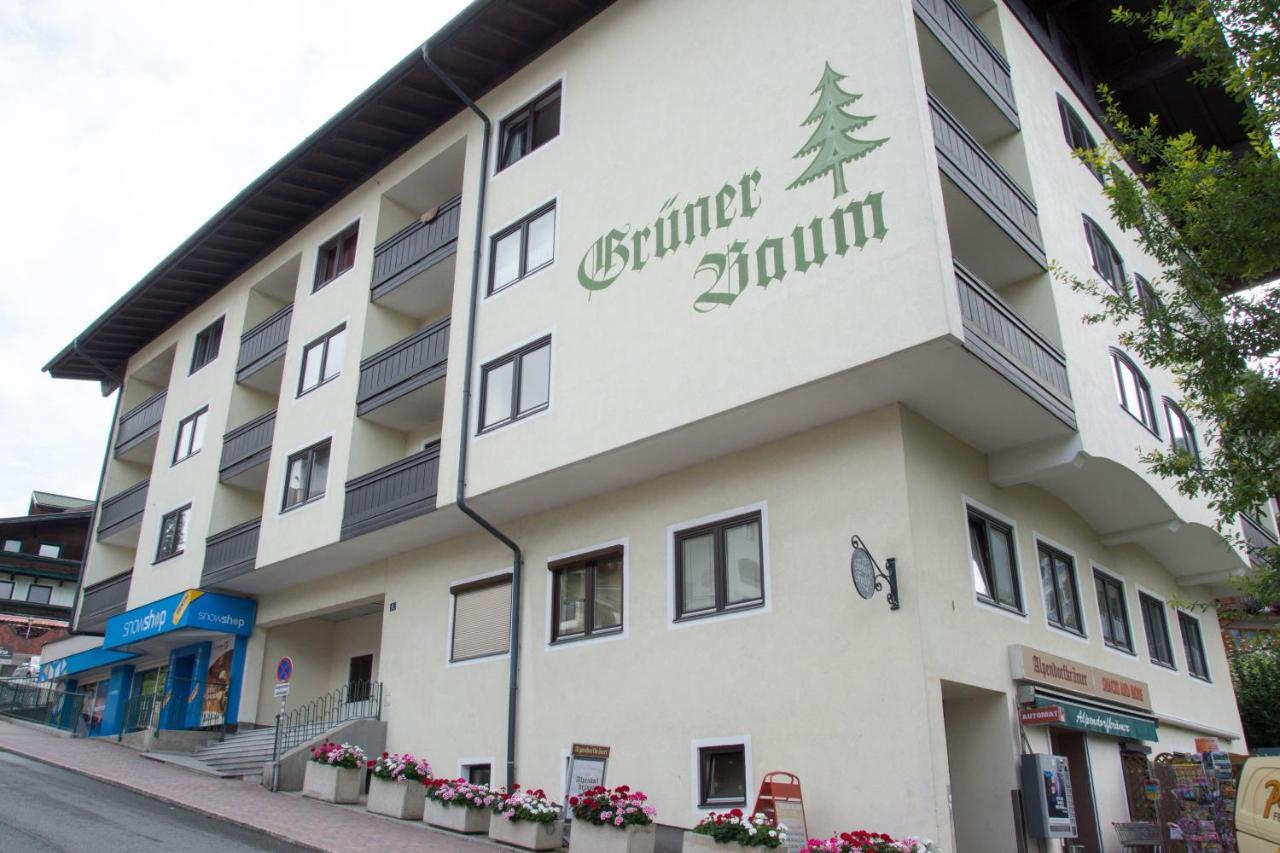 12 Gruener Baum Alpendorf