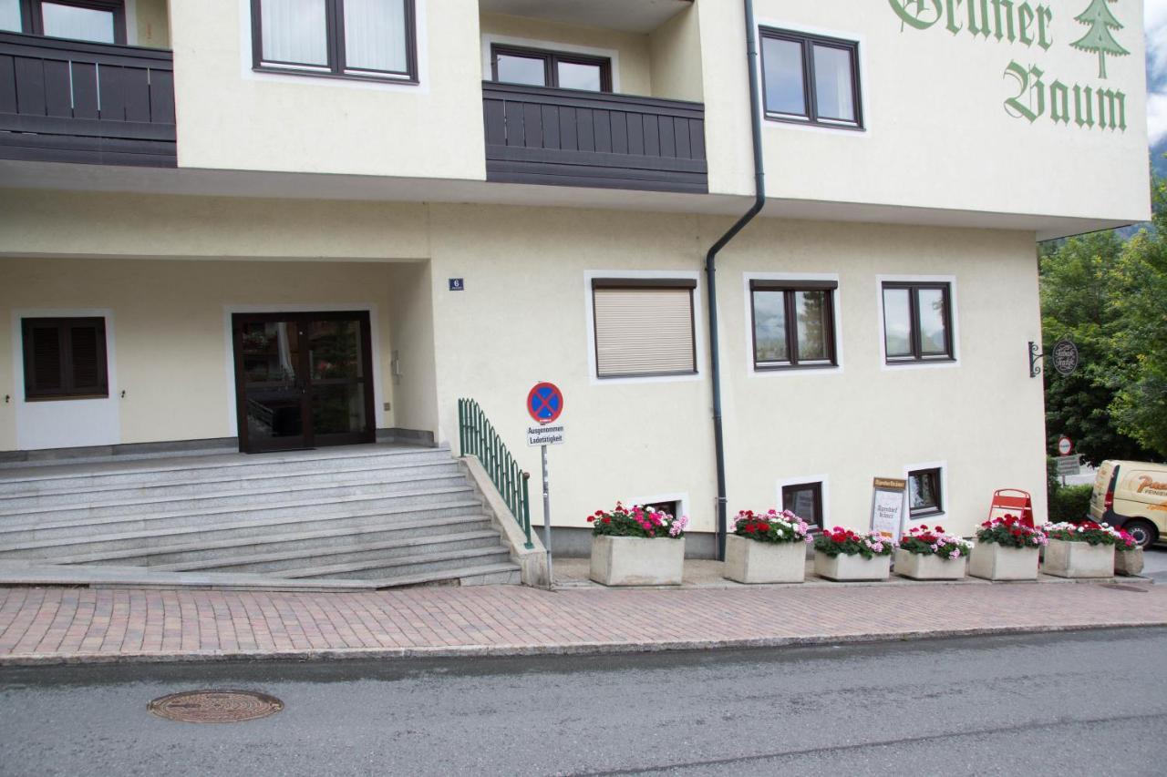 12 Gruener Baum Alpendorf Apartment Sankt Johann im Pongau